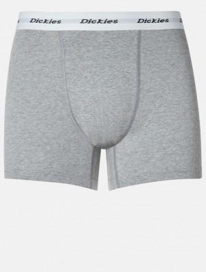 Boxer ανδρικα Dickies Two Pack γκρι | 829725529
