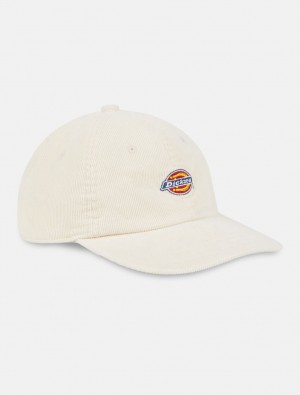 Caps ανδρικα Dickies Chase City Baseball ασπρα | 190787866