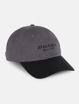 Caps ανδρικα Dickies Everyday Twill Cotton γκρι | 934926565