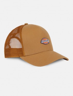 Caps ανδρικα Dickies Hanston Trucker καφε | 577730352