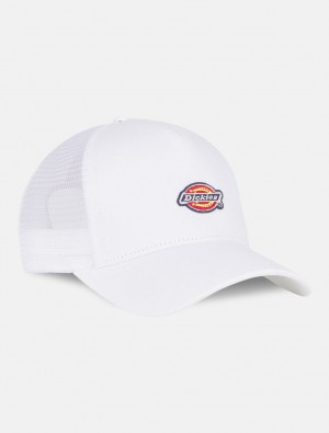 Caps ανδρικα Dickies Hanston Trucker ασπρα | 642075958
