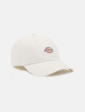 Caps ανδρικα Dickies Hardwick Baseball ασπρα | 263204022