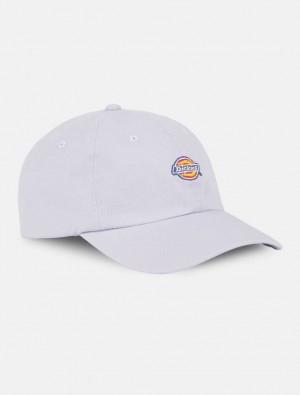 Caps γυναικεια Dickies Hardwick Baseball λεβάντα | 332259823