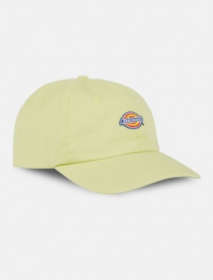 Caps γυναικεια Dickies Hardwick Baseball κίτρινα | 684254600