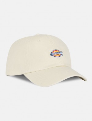 Caps ανδρικα Dickies Hardwick Baseball ασπρα | 716907261