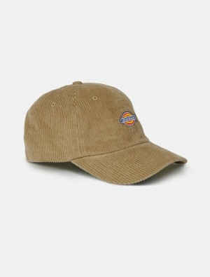 Caps ανδρικα Dickies Hardwick Cord Baseball Χακί | 265867339