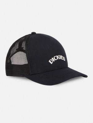 Caps γυναικεια Dickies Shawsville Trucker μαυρα | 652407758