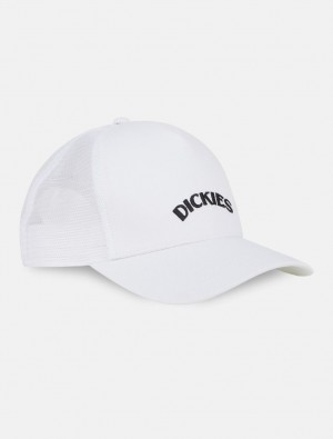 Caps ανδρικα Dickies Shawsville Trucker ασπρα | 782460084