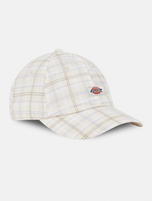 Caps ανδρικα Dickies Surry Baseball ασπρα | 966050330