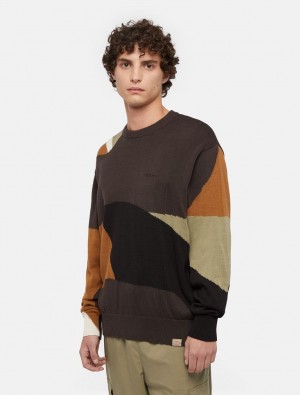 Jumpers ανδρικα Dickies Camo Ελιά | 820867880