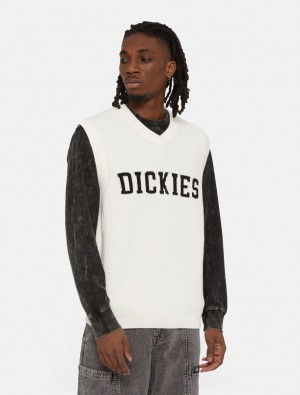 Jumpers ανδρικα Dickies Melvern Knitted ασπρα | 747173435