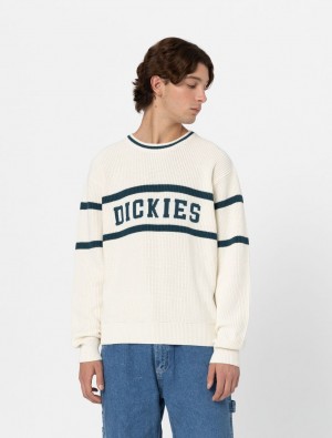 Jumpers ανδρικα Dickies Melvern ασπρα | 513161386