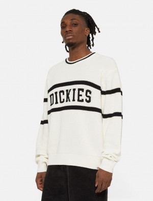 Jumpers ανδρικα Dickies Melvern ασπρα | 656792733