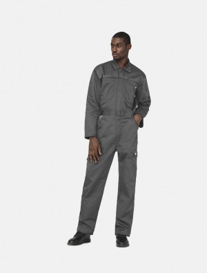 Overalls ανδρικα Dickies Everyday γκρι | 555726745
