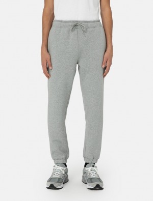 Παντελονι Jogger ανδρικα Dickies Mapleton γκρι | 303692434