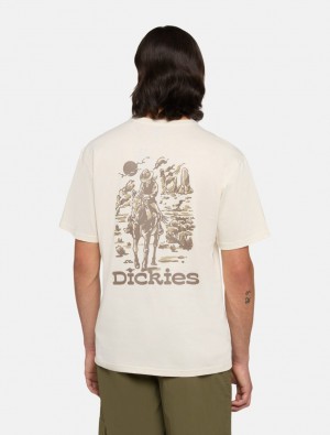 μπλουζακια ανδρικα Dickies Absarokee ασπρα | 434926375
