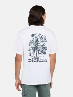 μπλουζακια ανδρικα Dickies Absarokee ασπρα | 922711620