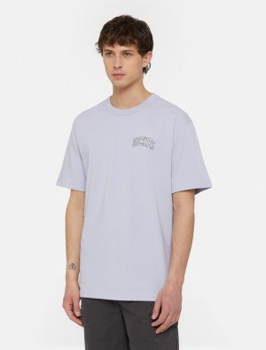 μπλουζακια ανδρικα Dickies Aitkin Chest Logo Short Sleeve λεβάντα | 83301824