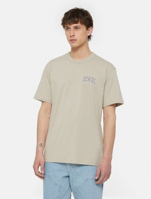μπλουζακια ανδρικα Dickies Aitkin Chest Logo Short Sleeve γκρι | 146405332