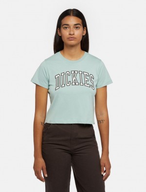 μπλουζακια γυναικεια Dickies Aitkin Short Sleeve μπλε | 347199362