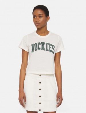μπλουζακια γυναικεια Dickies Aitkin Short Sleeve ασπρα | 657840334
