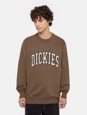 Φούτερ ανδρικα Dickies Aitkin καφε | 446276094
