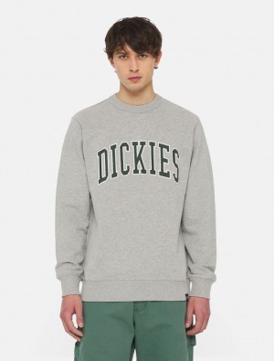 Φούτερ ανδρικα Dickies Aitkin γκρι | 957154096