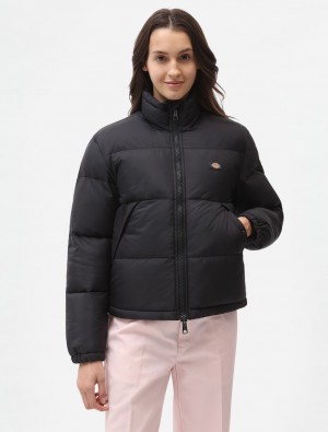 Μπουφαν γυναικεια Dickies Alatna μαυρα | 646780638