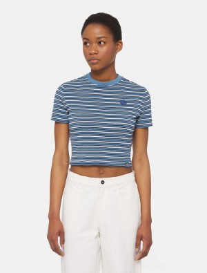 μπλουζακια γυναικεια Dickies Altoona Stripe Short Sleeve μπλε | 140320433
