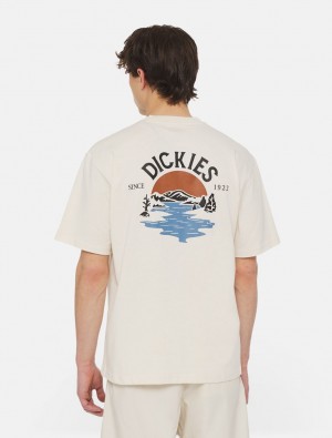 μπλουζακια ανδρικα Dickies Beach Short Sleeve ασπρα | 119777158