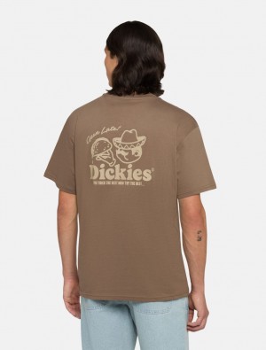 μπλουζακια ανδρικα Dickies Big Sandy καφε | 67001064