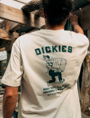 μπλουζακια ανδρικα Dickies Builder ασπρα | 38272806