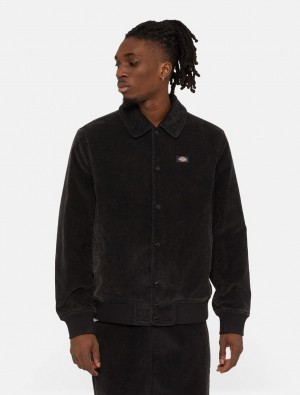 Μπουφαν ανδρικα Dickies Chase City μαυρα | 398781513
