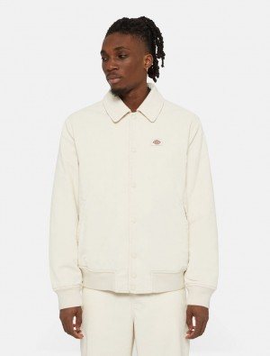 Μπουφαν ανδρικα Dickies Chase City ασπρα | 638560849