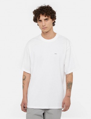 μπλουζακια ανδρικα Dickies Clancy Heavyweight ασπρα | 254560650