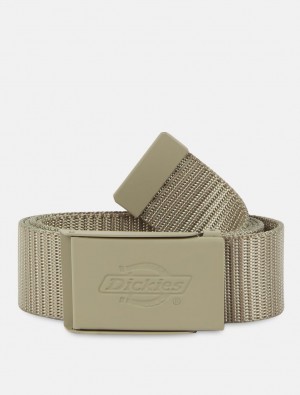 ζωνη γυναικεια Dickies Deer Lodge Ελιά | 732127830