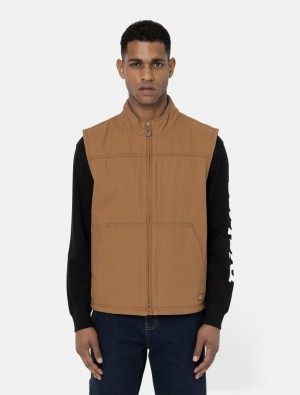 Γιλεκο ανδρικα Dickies Duck Lined καφε | 667535655