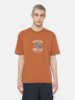 μπλουζακια ανδρικα Dickies Dumfries Short Sleeve καφε | 318167337