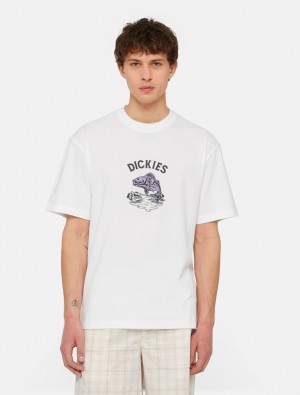 μπλουζακια ανδρικα Dickies Dumfries Short Sleeve ασπρα | 519573228