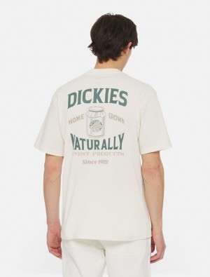 μπλουζακια ανδρικα Dickies Elliston Short Sleeve ασπρα | 463857798