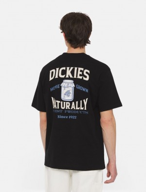 μπλουζακια ανδρικα Dickies Elliston Short Sleeve μαυρα | 782459865