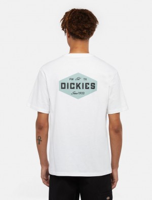 μπλουζακια ανδρικα Dickies Emblem ασπρα | 343459248