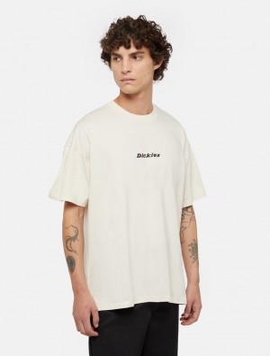 μπλουζακια ανδρικα Dickies Enterprise Short Sleeve ασπρα | 623476914