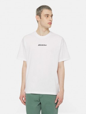 μπλουζακια ανδρικα Dickies Enterprise Short Sleeve ασπρα | 762564664