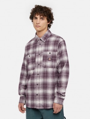 πουκαμισα ανδρικα Dickies Evansville Long Sleeve μωβ | 748590375