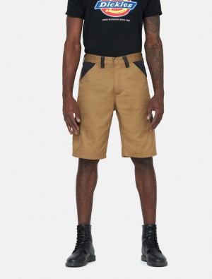 Σορτσ ανδρικα Dickies Everyday Χακί | 315235675