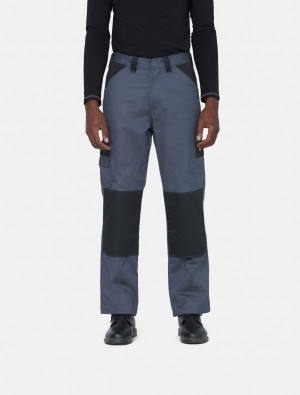 Παντελονι ανδρικα Dickies Everyday γκρι | 630537722