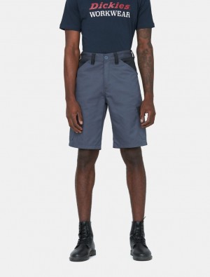 Σορτσ ανδρικα Dickies Everyday γκρι | 72889266