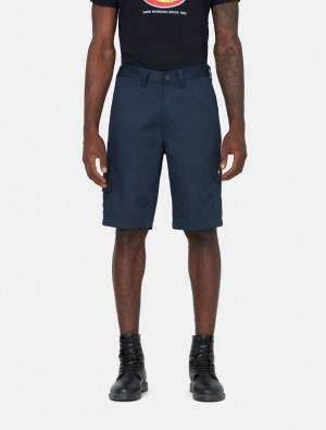 Σορτσ ανδρικα Dickies Everyday σκουρο μπλε | 8256176