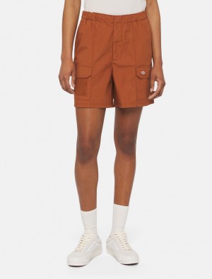 Σορτσ γυναικεια Dickies Fishersville καφε | 463924342